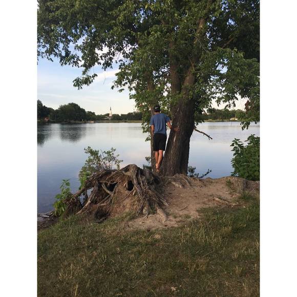 Meet your Posher, Rodrigo - Picture 1 of 1